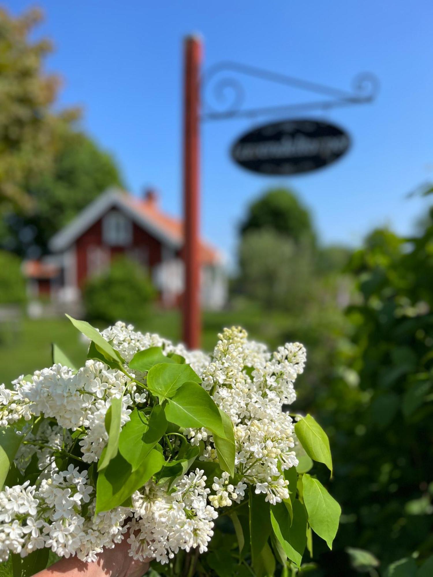 Lavendeltorpet Bed & Breakfast Haggum Екстериор снимка